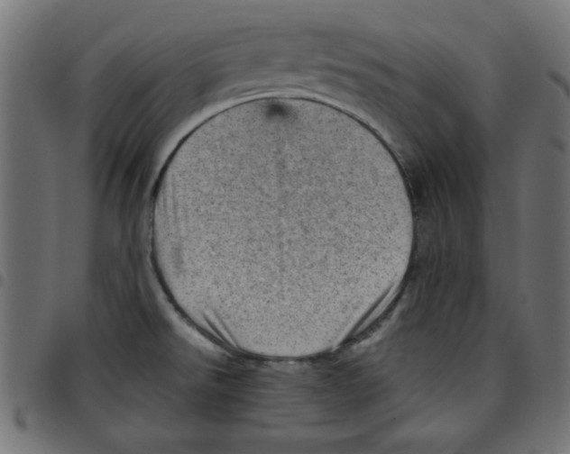 X0000096941526200803070954