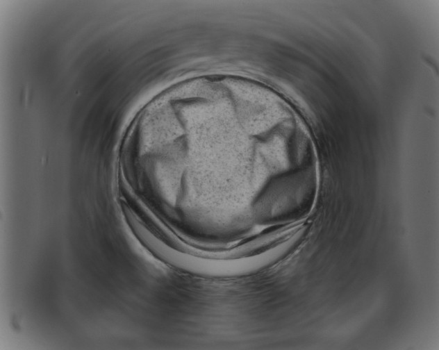 X0000096941528200803070954