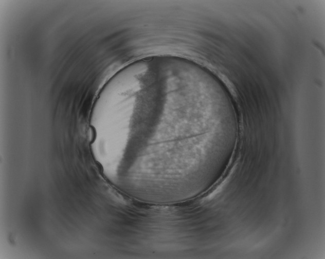 X0000096941529200803070954