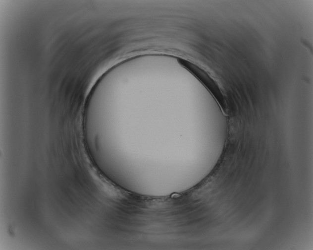 X0000096941530200803070954