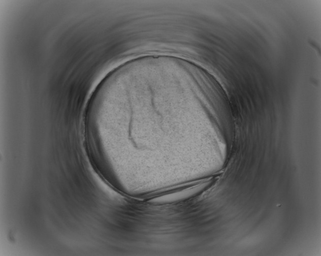 X0000096941531200803070954