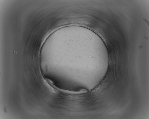 X0000096941532200803070954