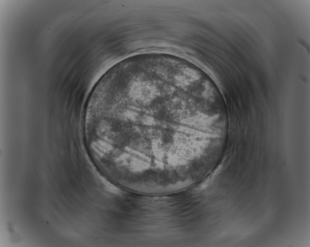 X0000096941533200803070954