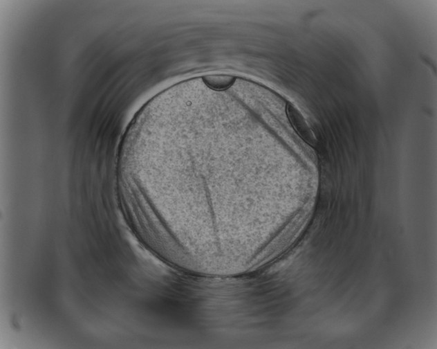 X0000096941534200803070954