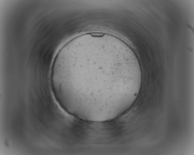 X0000096941536200803070954