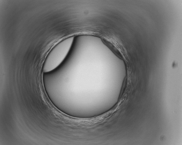 X0000096950001200802080931
