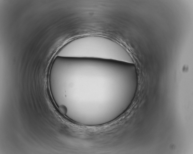 X0000096950002200802080931