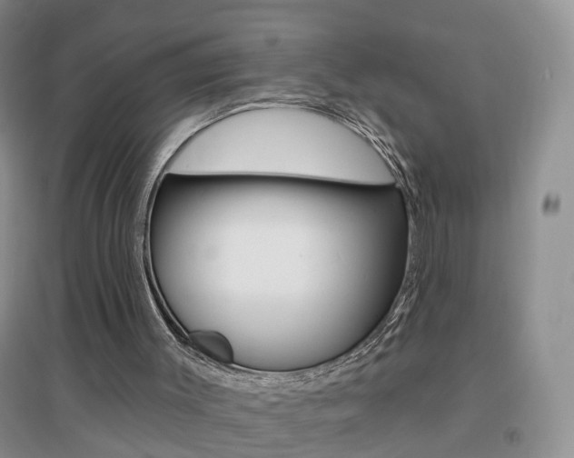 X0000096950003200802080931