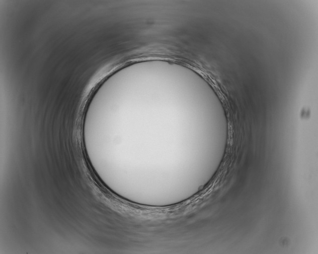 X0000096950004200802080931
