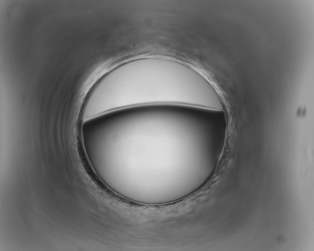 X0000096950007200802080931