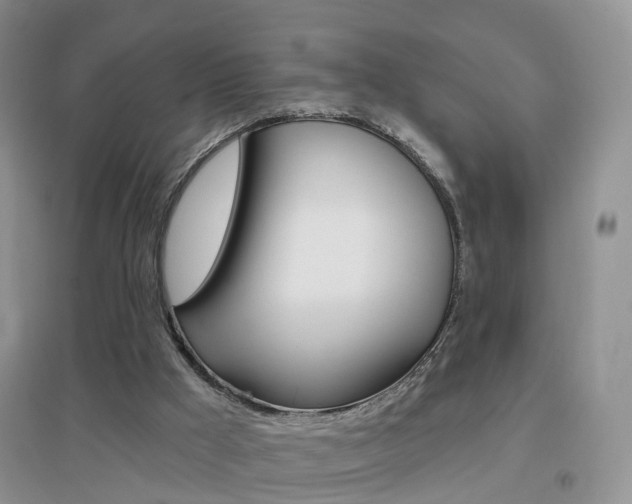 X0000096950009200802080931