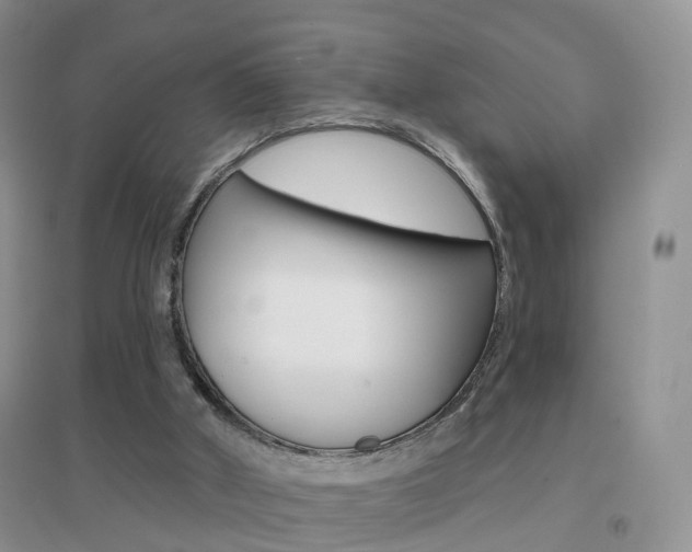 X0000096950010200802080931