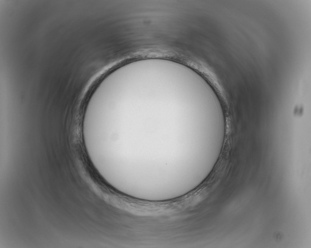 X0000096950012200802080931