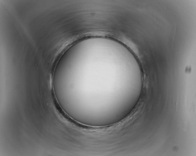 X0000096950013200802080931