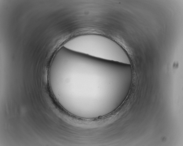 X0000096950014200802080931