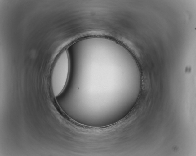 X0000096950015200802080931