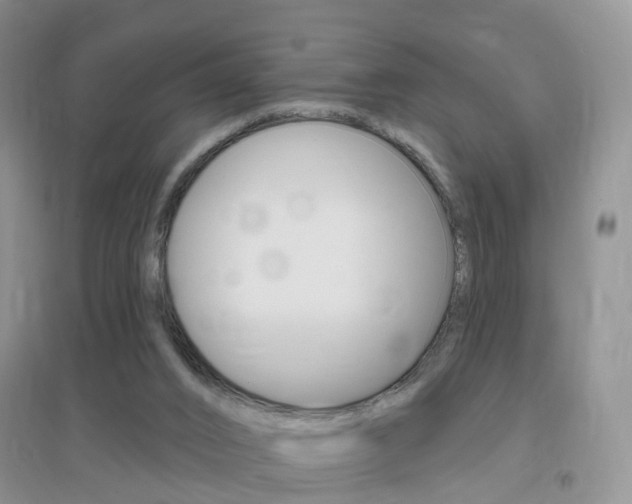 X0000096950016200802080931