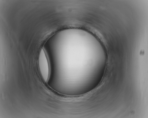 X0000096950017200802080931