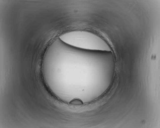 X0000096950018200802080930