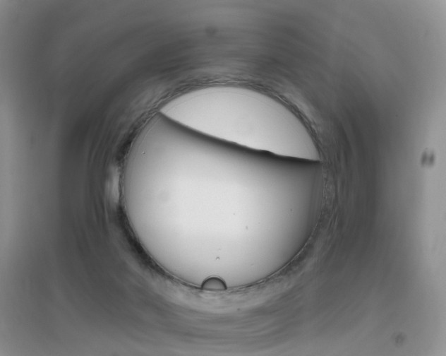 X0000096950022200802080930