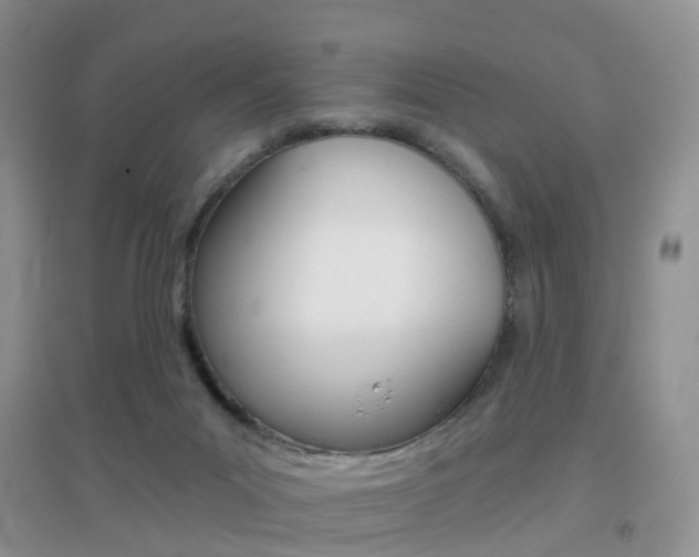 X0000096950023200802080930