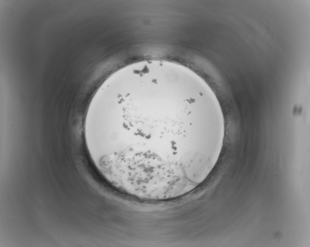 X0000096950024200802080930