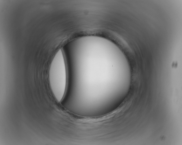 X0000096950025200802080930