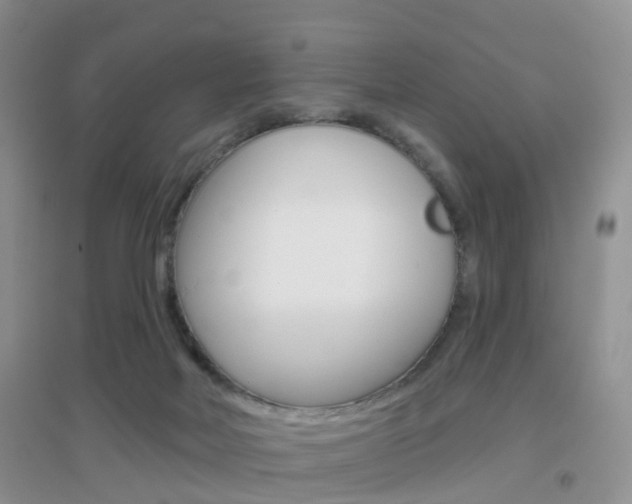 X0000096950026200802080930