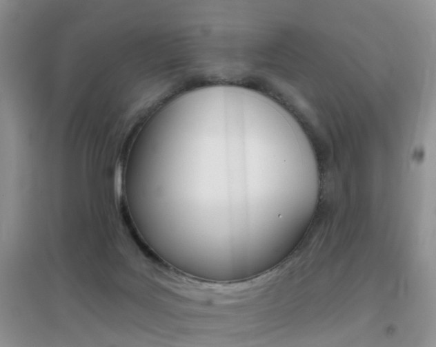 X0000096950027200802080930