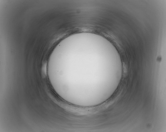 X0000096950028200802080930