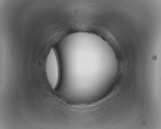 X0000096950029200802080930