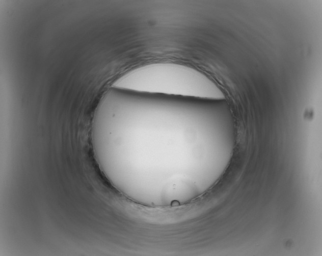 X0000096950030200802080930