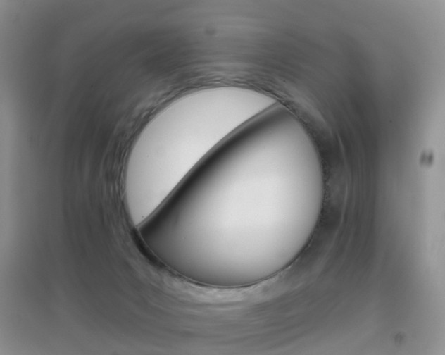 X0000096950031200802080930