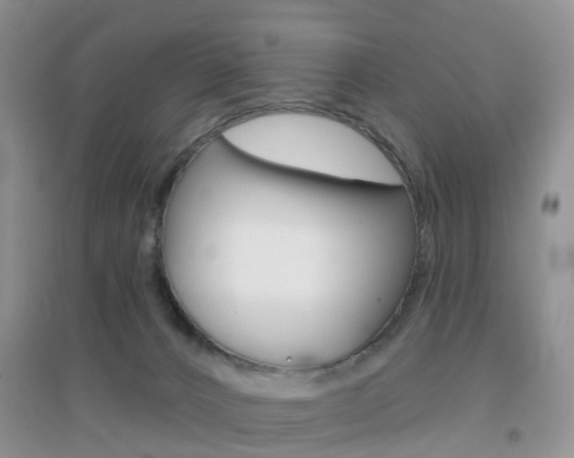 X0000096950032200802080930