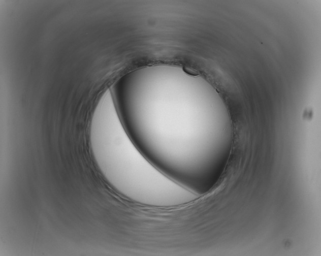 X0000096950033200802080930