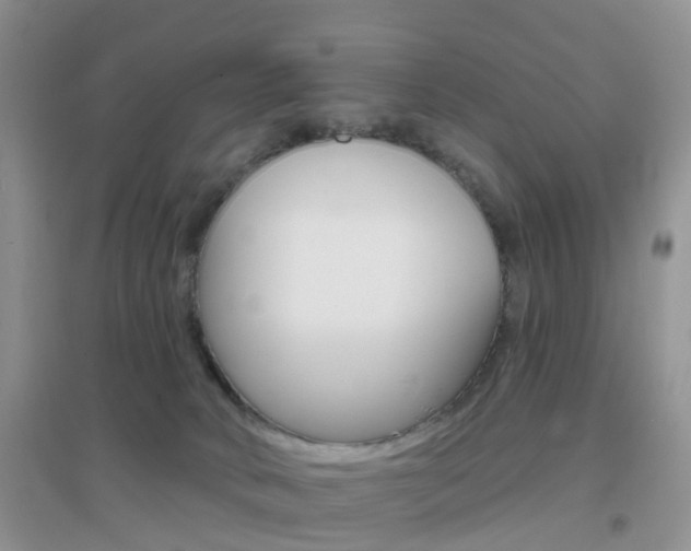 X0000096950034200802080930