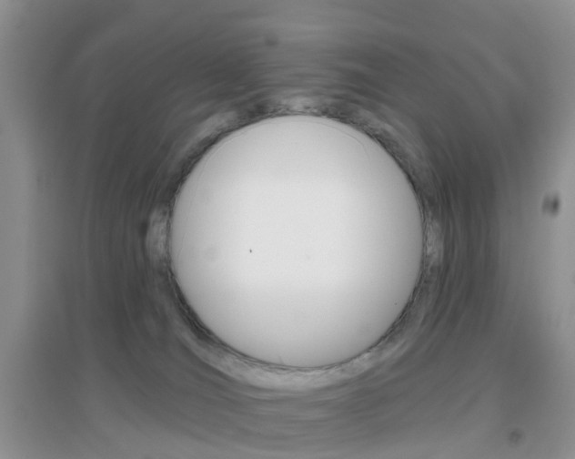 X0000096950036200802080930
