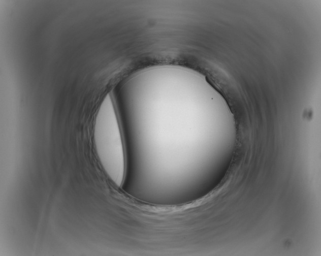 X0000096950037200802080930
