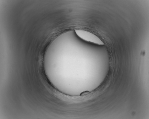 X0000096950038200802080930