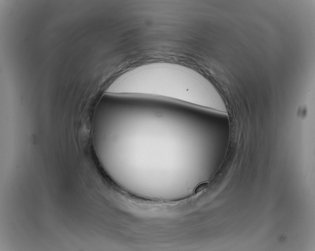 X0000096950040200802080930