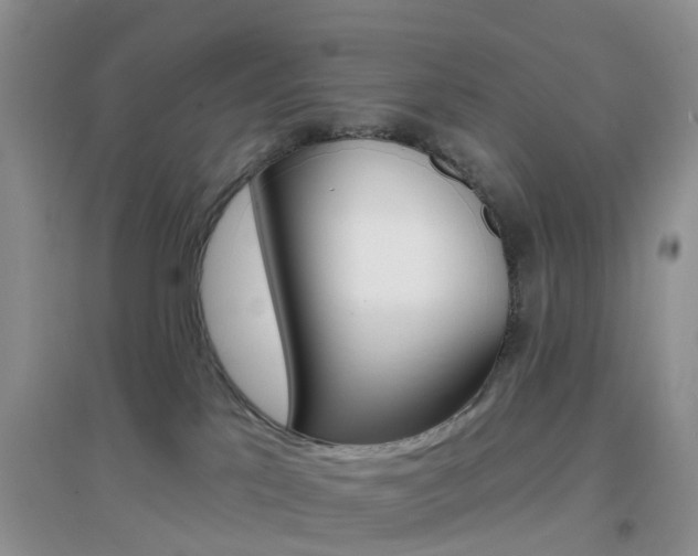 X0000096950041200802080930