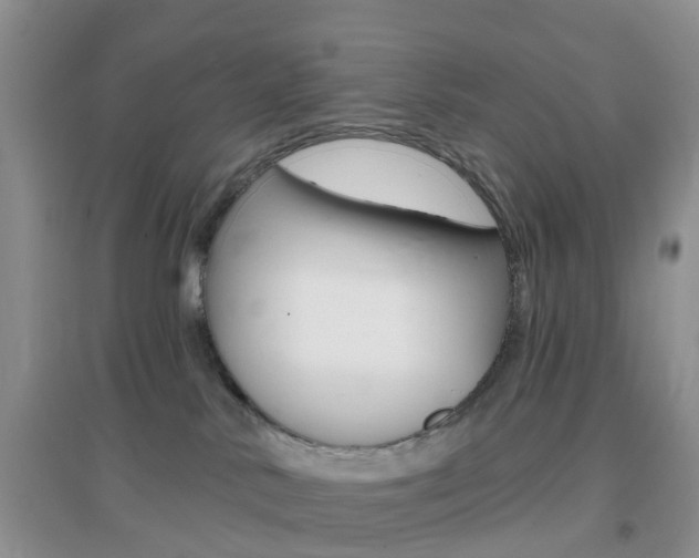 X0000096950042200802080930