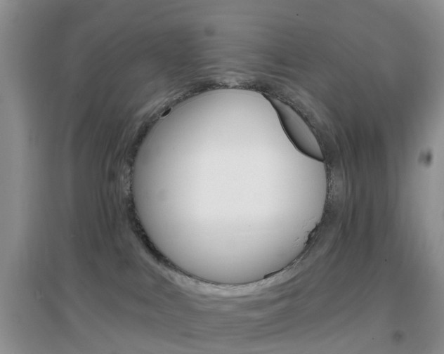 X0000096950043200802080930