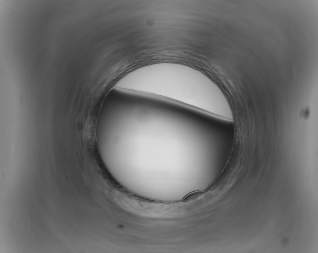 X0000096950044200802080930