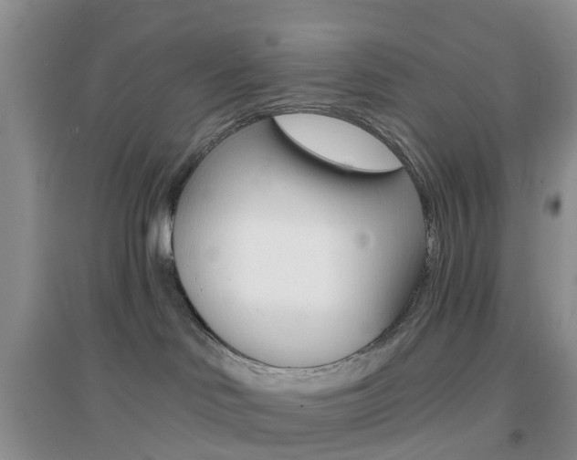 X0000096950046200802080930