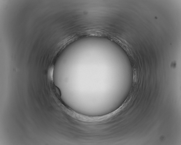 X0000096950047200802080930