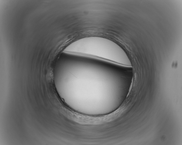 X0000096950048200802080930