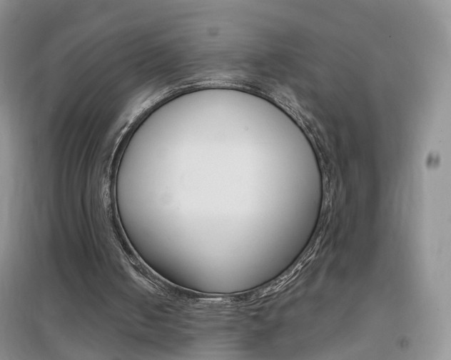 X0000096950050200802080929