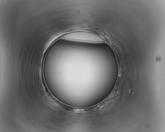 X0000096950052200802080929