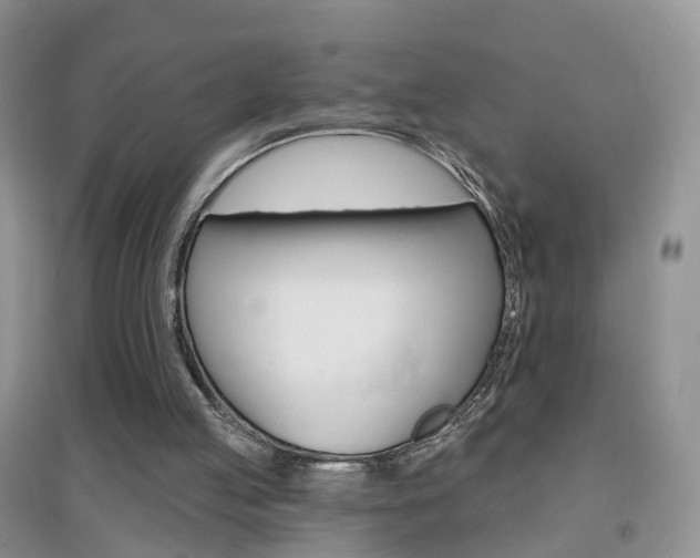 X0000096950053200802080929